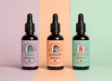 Load image into Gallery viewer, Aromatic Bitters - Pyewacket's, 50ml