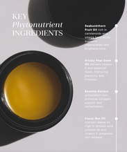 Load image into Gallery viewer, Golden Age Beauty Balm, Shemana Elixirs, 50g