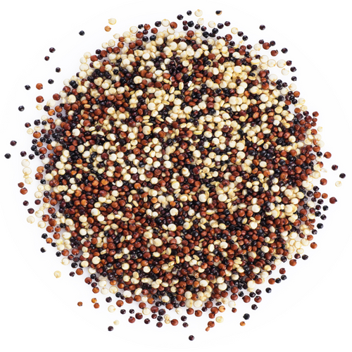 Quinoa - Tri-colour Organic, Bulk