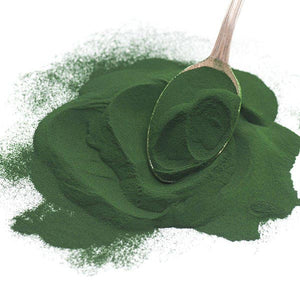 Chlorella - Organic Powder, Bulk