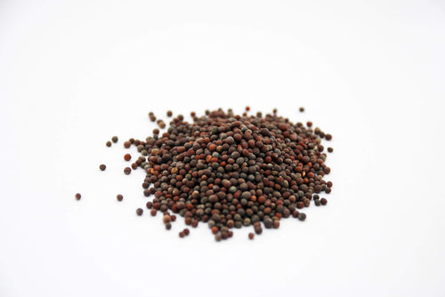 Mustard Seeds, Black Whole - Organic, Bulk