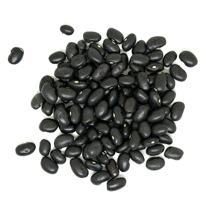 Black Turtle Beans - Organic, Bulk